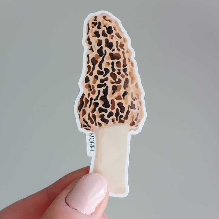 Morel Mushroom Waterproof Vinyl Sticker - Fungi Forager for wholesale by Beehive 95 Designs