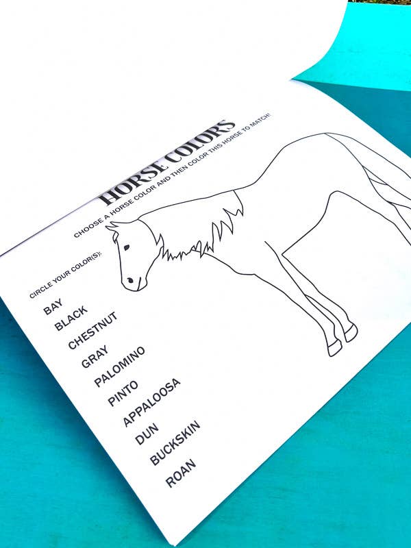 Circus Unicorn Shop - Wholesale Education Book - The Riding Student's Horse Workbook9