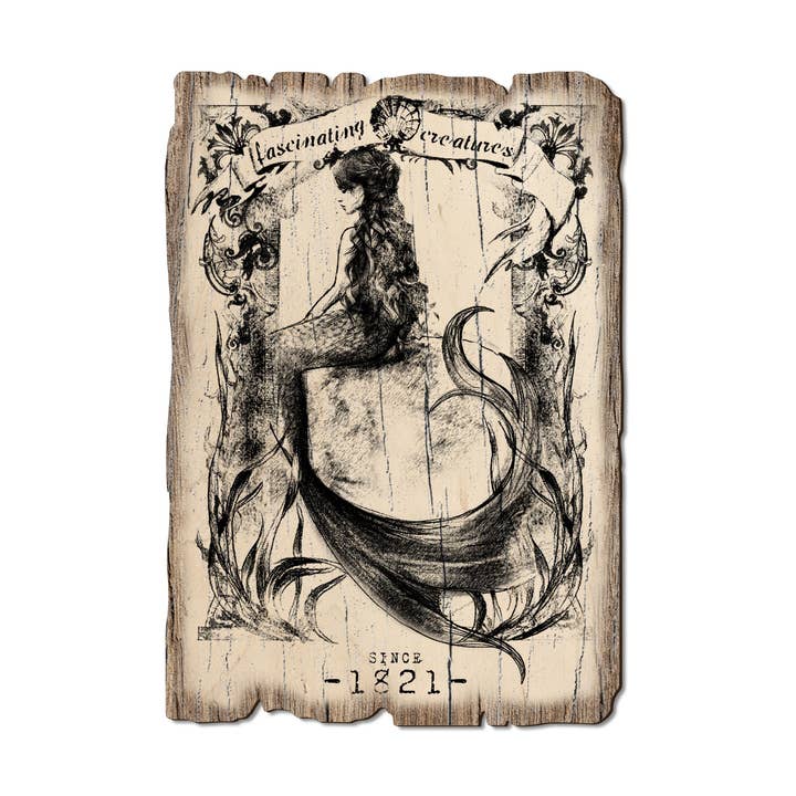 DaydreamHQ - Wholesale Postcard - Fascinating Mermaid - Wood Rustic Beach Postcards & Magnets