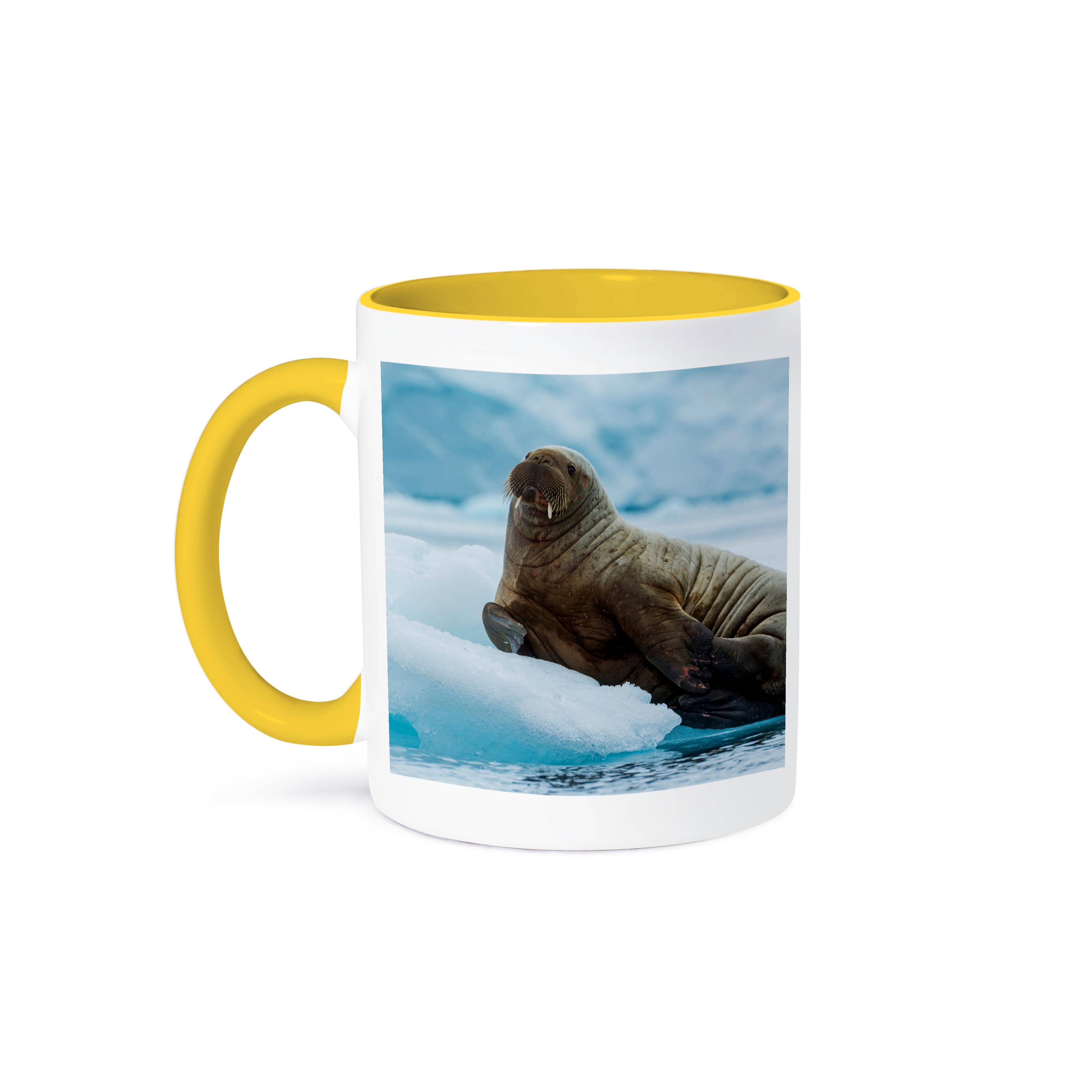3dRose - Wholesale Coffee Mug - 3dRose, Norway. Svalbard. Brasvelbreen. Atlantic walrus resting on ice floe, Mug0