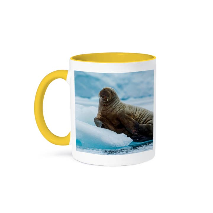 3dRose – Großhandel Kaffeebecher – 3dRose, Norwegen. Svalbard. Brasvelbreen. Atlantischer Walross ruht auf Eisscholle, Tasse