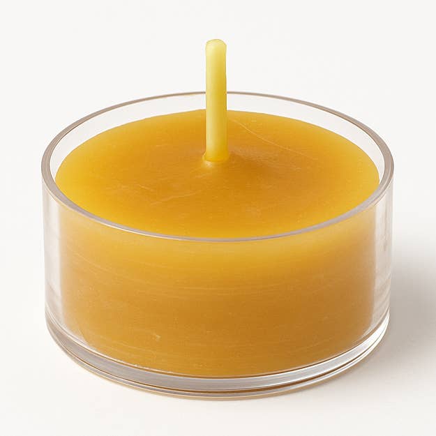 Candele in cera d'api trasparenti a tazza per tealight ALL'INGROSSO per la vendita all'ingrosso da parte di Bees Light Candles