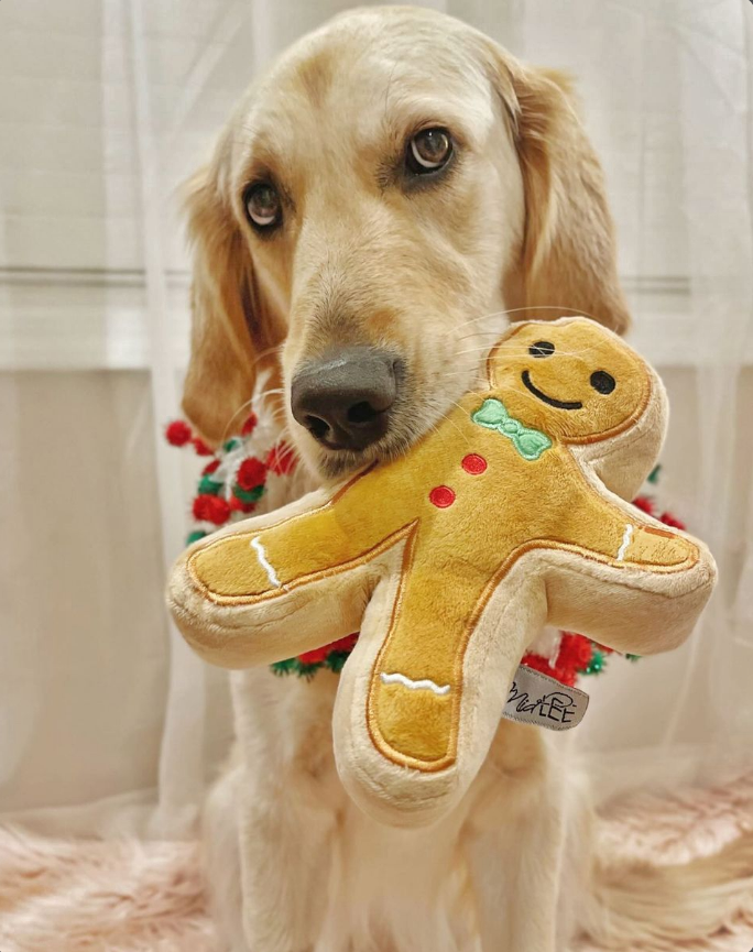 Midlee Designs - Wholesale Pet Plush Toy - Dog - Midlee Christmas Sugar Cookie Plush Dog Toy (Gingerbread)5