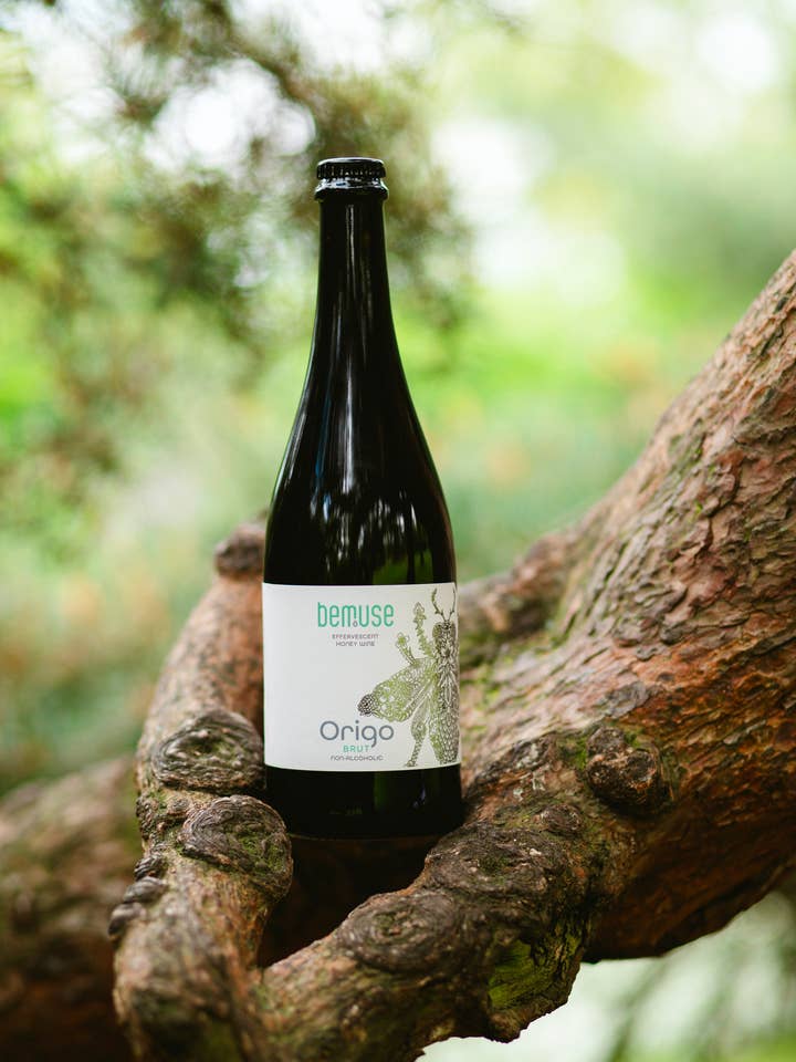 Bemuse Origo Brut Non Alcoholic Sparkling Honey Wine for wholesale by Bemuse