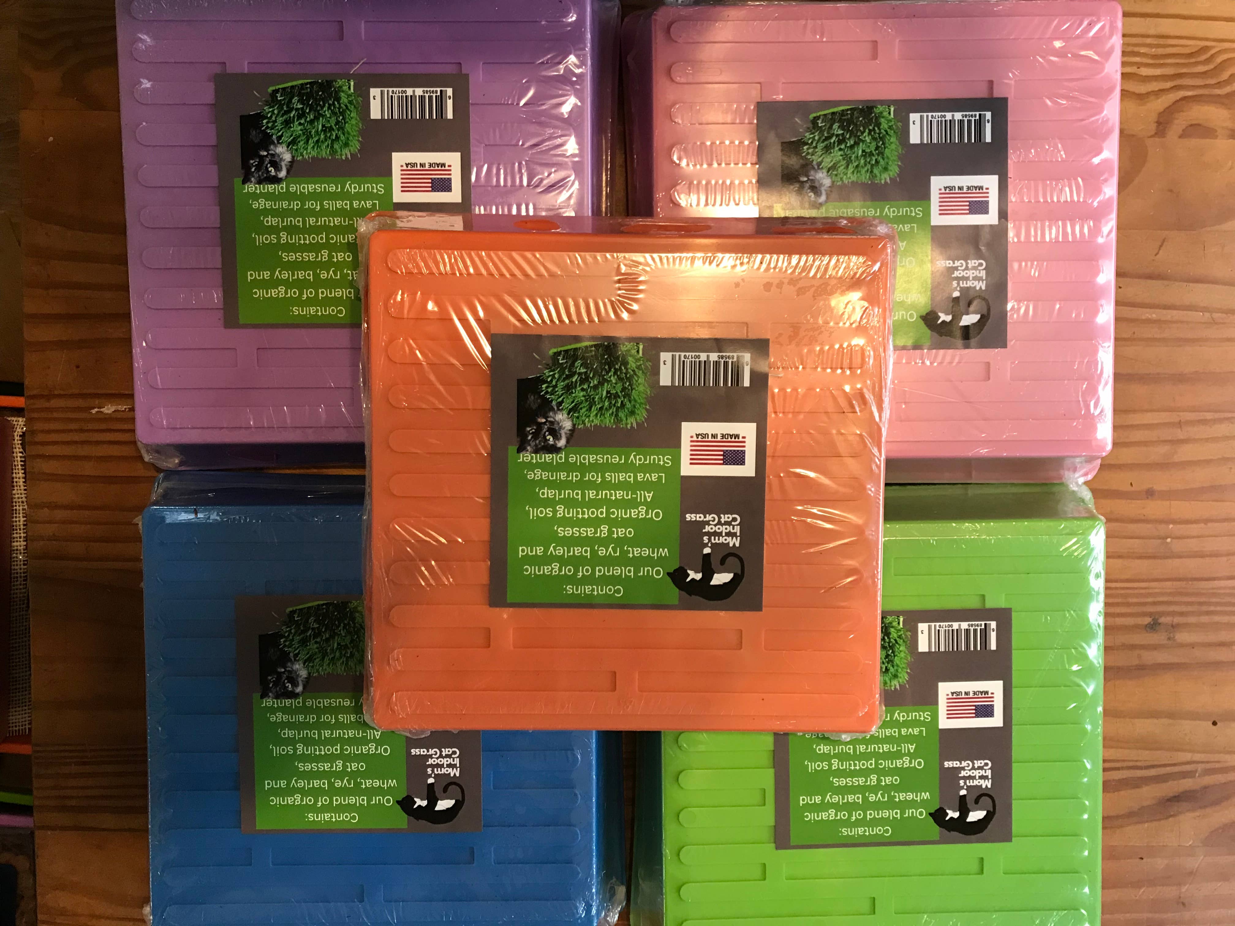 Mom’s Indoor Cat - Wholesale Catnip - 10” x10” Cat Grass Garden Tray/ organic seed1