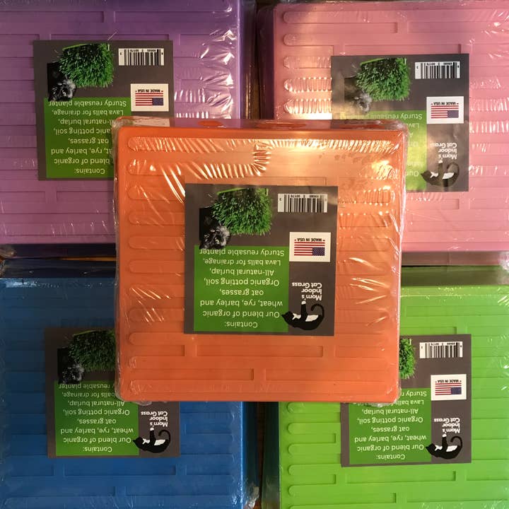 Mom’s Indoor Cat - Wholesale Catnip - 10” x10” Cat Grass Garden Tray/ organic seed1