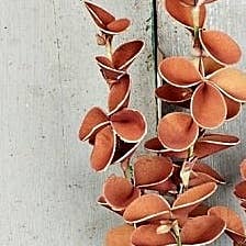 Holiday Depot Inc. - Wholesale Artificial Flowers - ISB79975- 20IN FALL SNAPDRAGON LEAVES SPRAY1