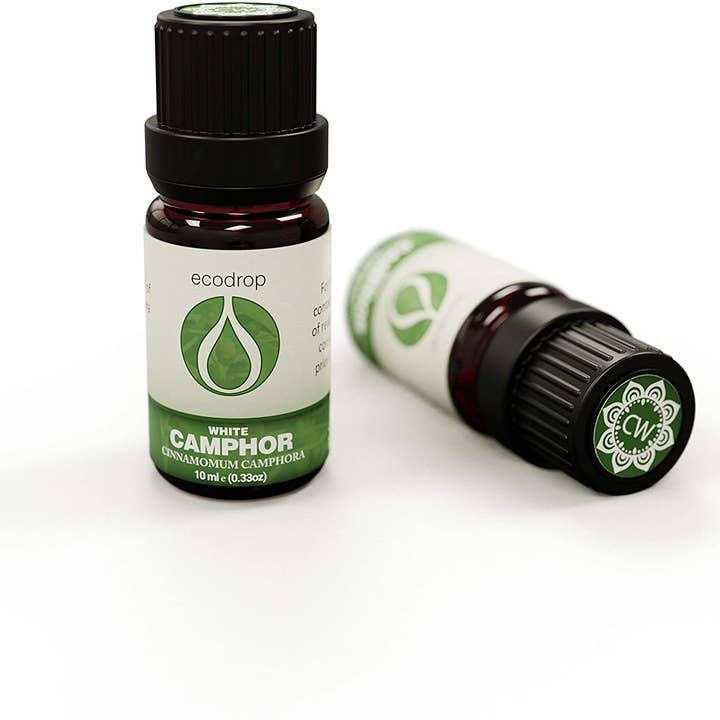 Olio essenziale di canfora per la vendita all'ingrosso da parte di Eco Drop