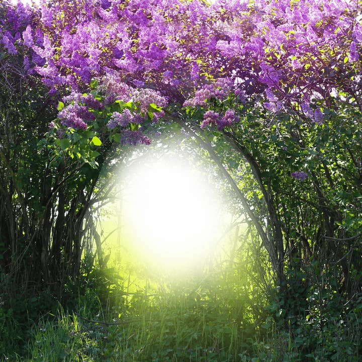 Fervor Candle Company - Vente Bougie en bocal - Bougie en cire de soja The Secret Garden de 10 oz inspirée d'un livre1