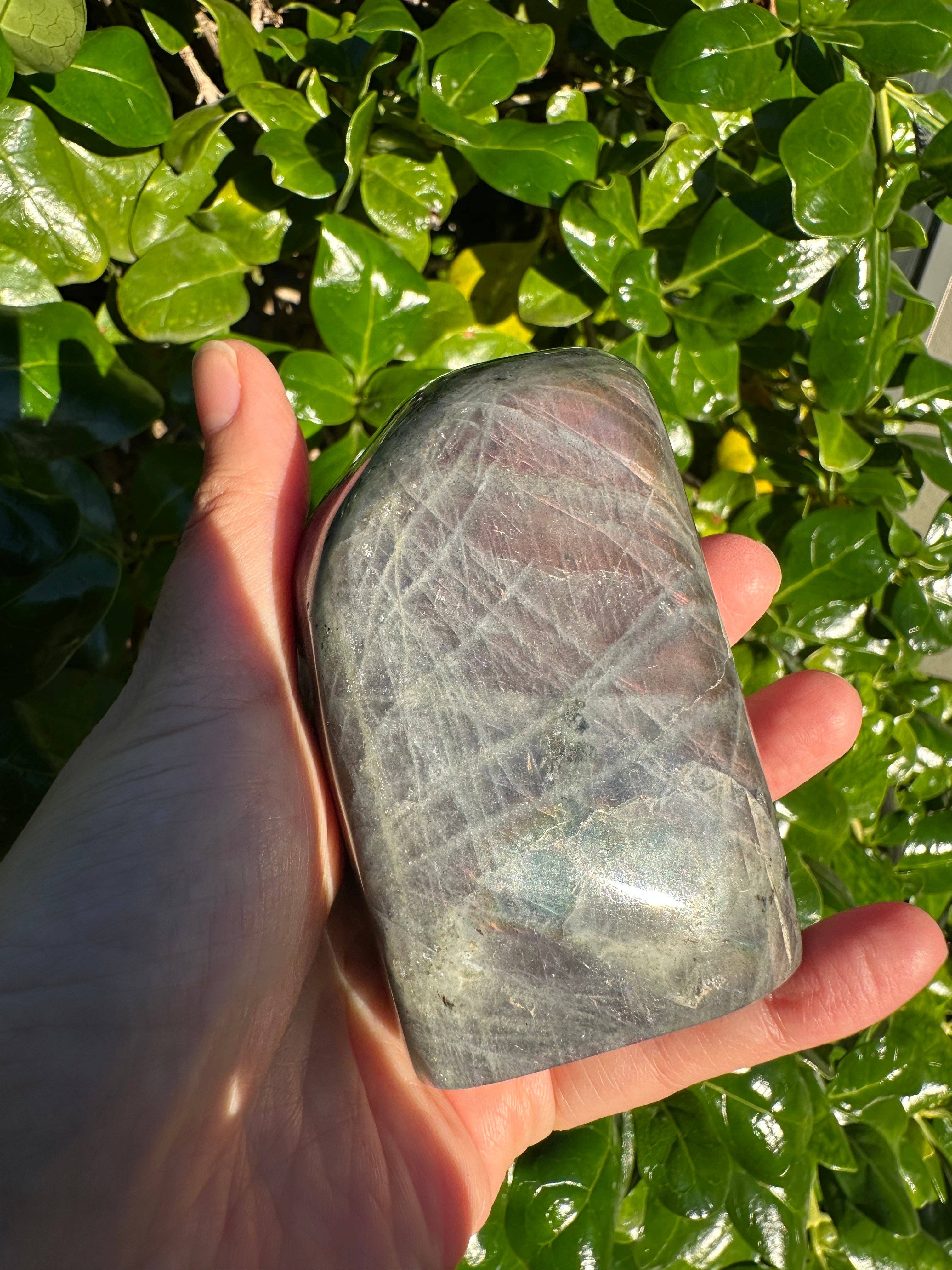 Moon Rituals – wholesale Spiritual stone/crystal – Large Purple Labradorite Free Form, Christmas Crystal Gift #810