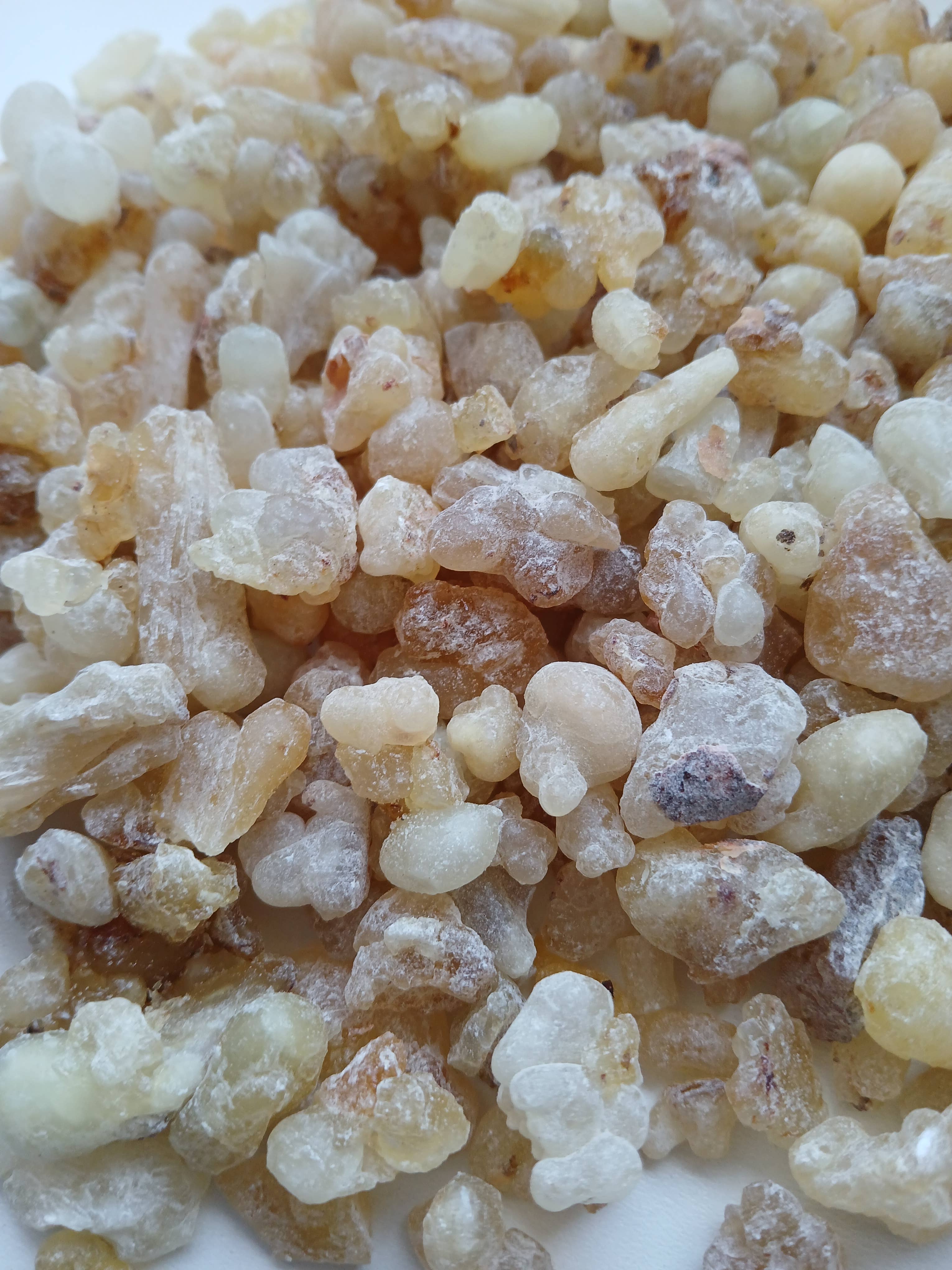Somali Resin - Wholesale Incense -  Boswellia Frereana – 10 x 100g Containers (1 Box)1