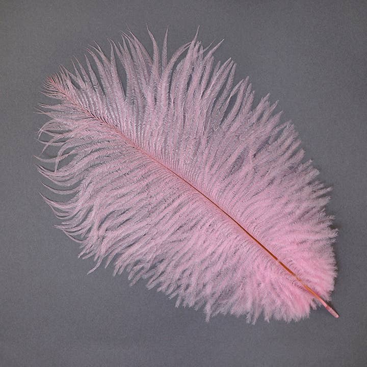 Plumes d'autruche 9-12" Drabs - Rose bonbon pour la vente par Zucker Feather Products