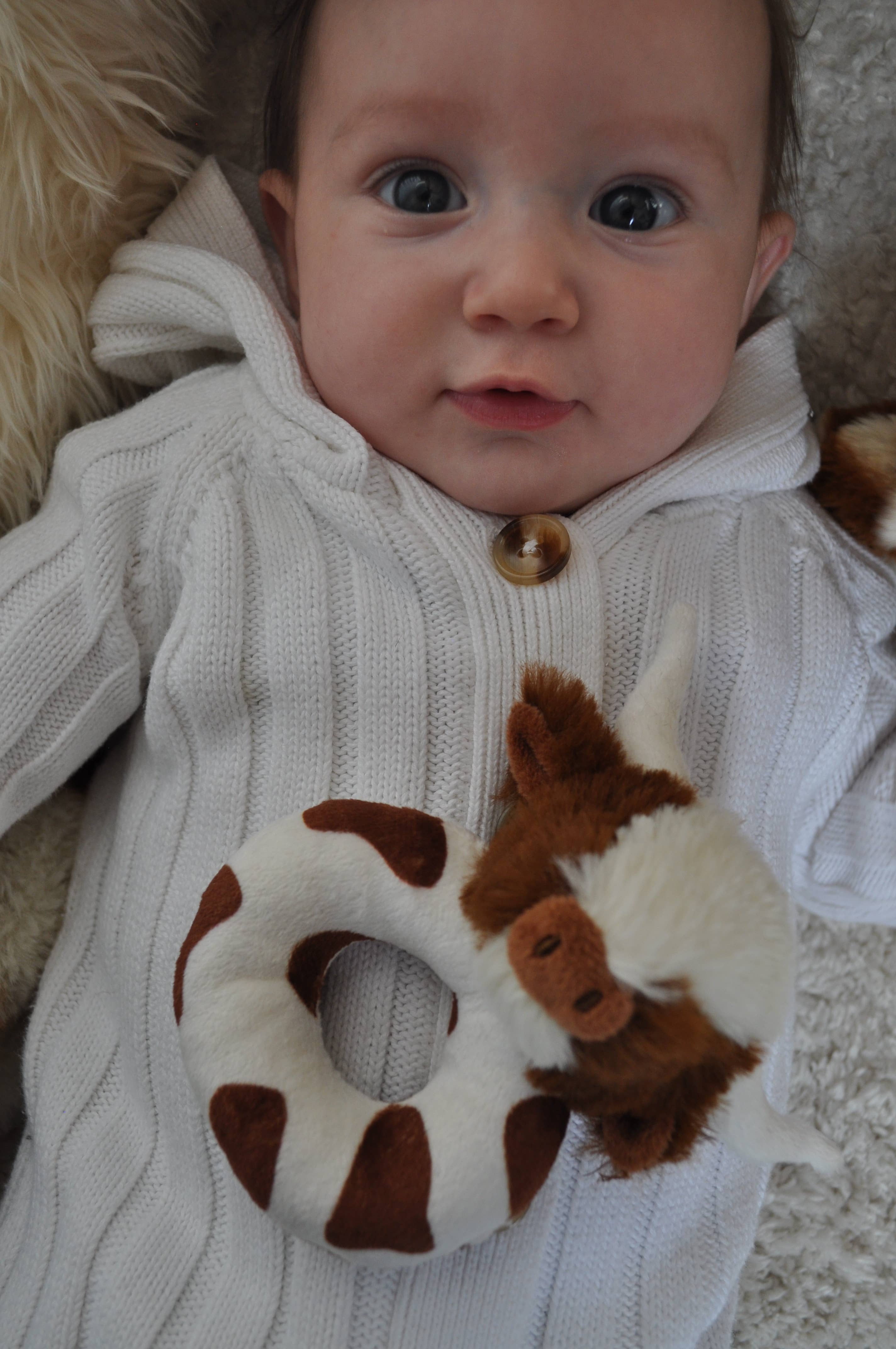 Jomanda Soft Toys & Accessories - Wholesale Handheld Rattle - Baby - Texas Longhorn Highland Brown Cow Baby Plush Rattle 10cm3