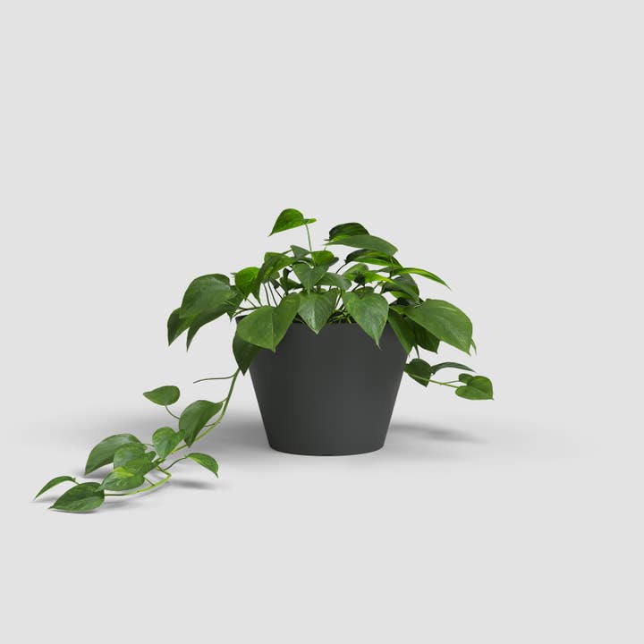 ARTEVASI, SA - Wholesale Plant Pot - Plastic flower bowl with straight, simple lines6