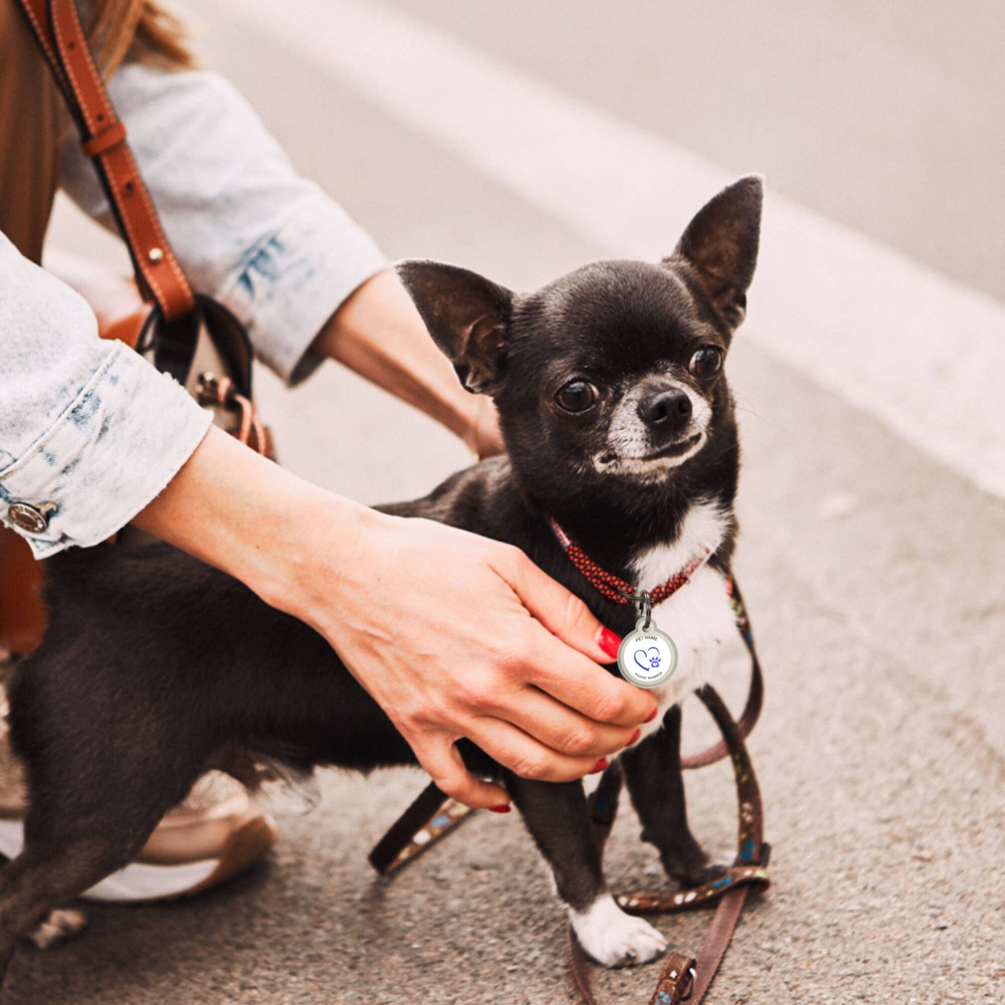 Animal ID - Wholesale Pet Identification Tag - Cat/Dog - Dog Id Tag Personalized, Custom Dog Tag For Puppy - ID Tag4