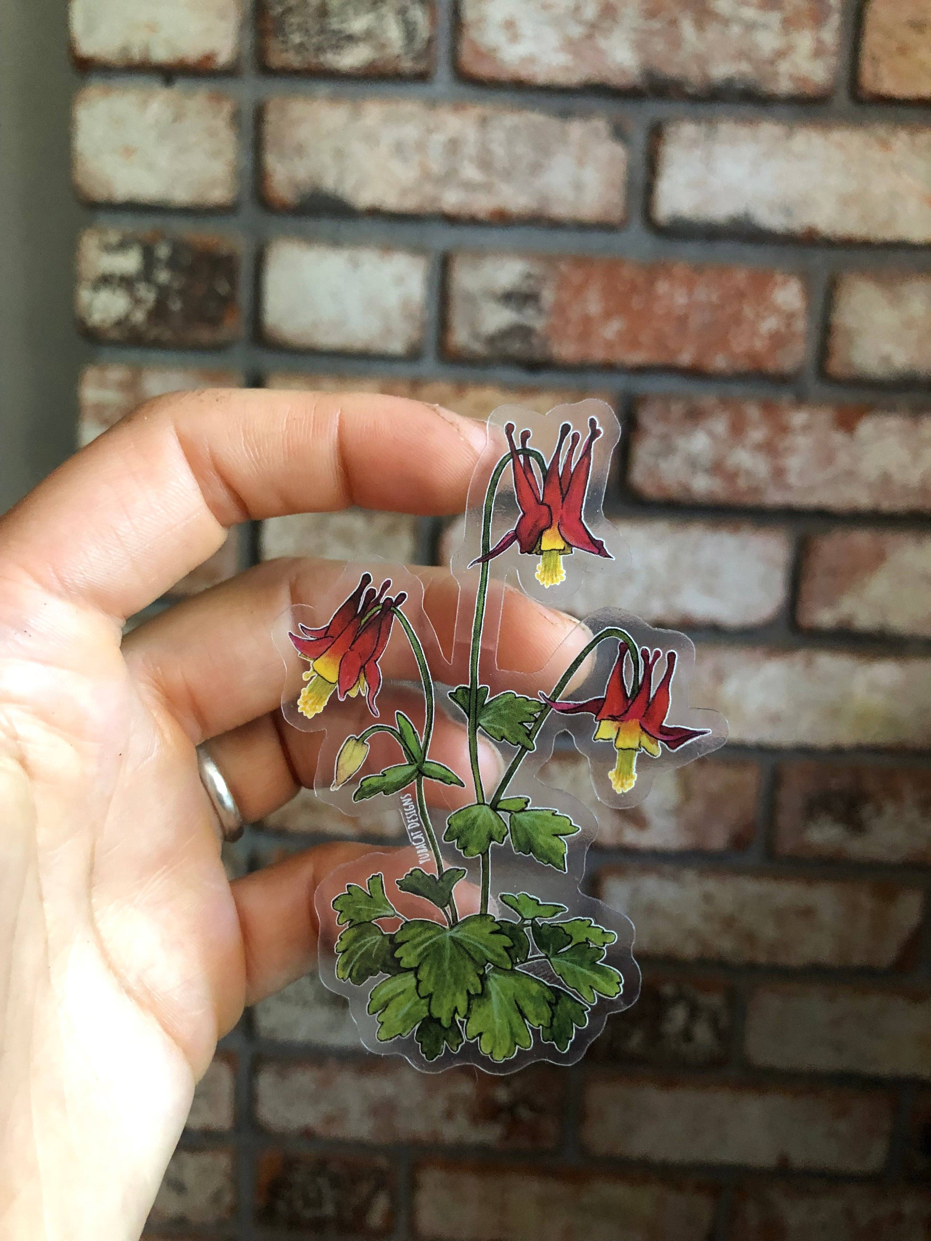YubaCat Designs - Wholesale Sticker - Red Columbine sticker3
