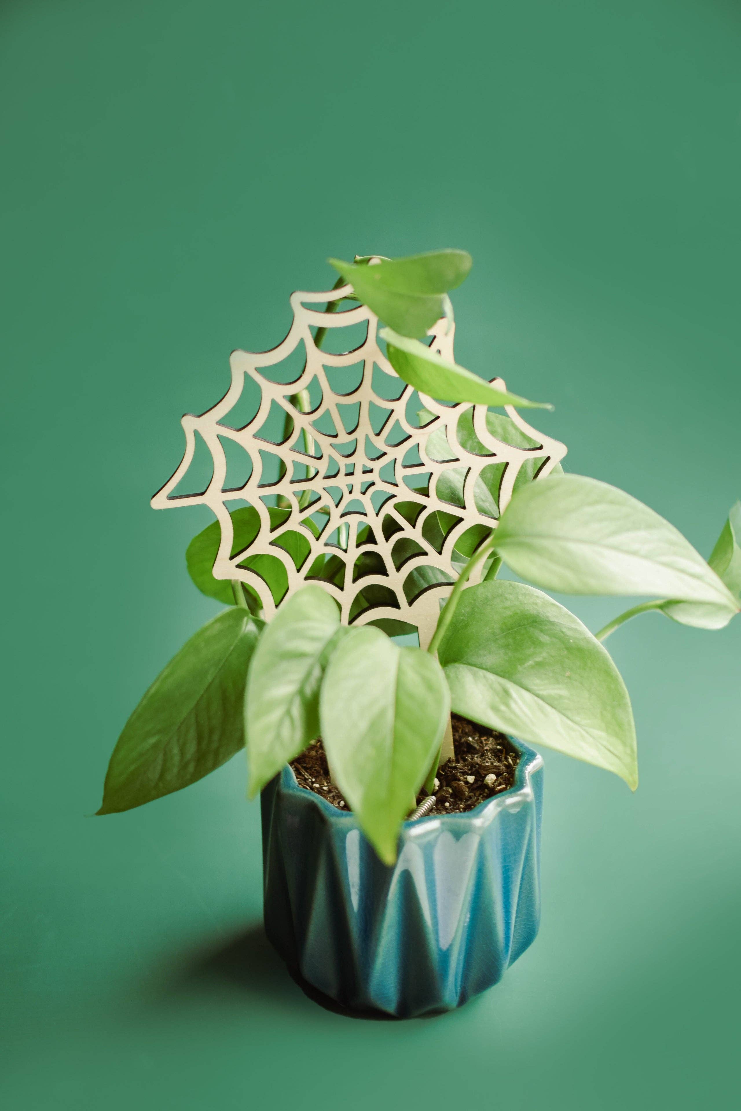 PlantsNsht – Latada por atacado – Trellis de plantas de teia de aranha2