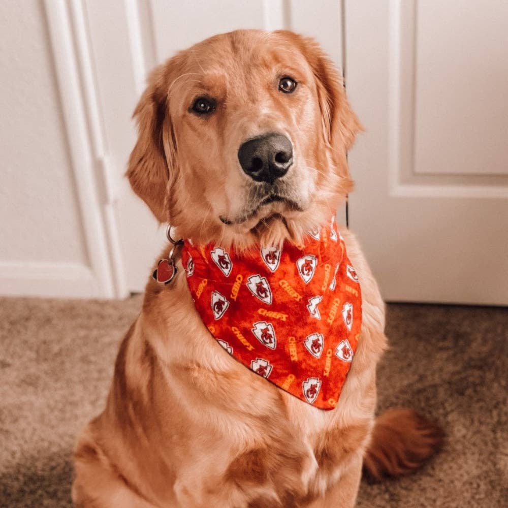 PawsAbilities - Wholesale Pet Bandana - Dog - Kansas City Chiefs Flannel Dog Bandana4