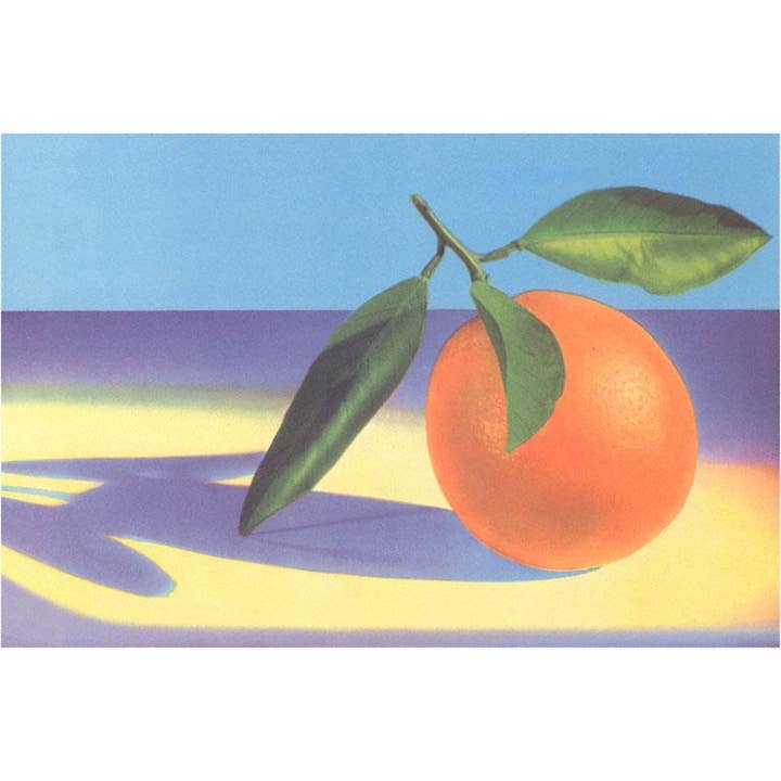 Magneet FR-116 Oranje voor wholesale door Found Image Press