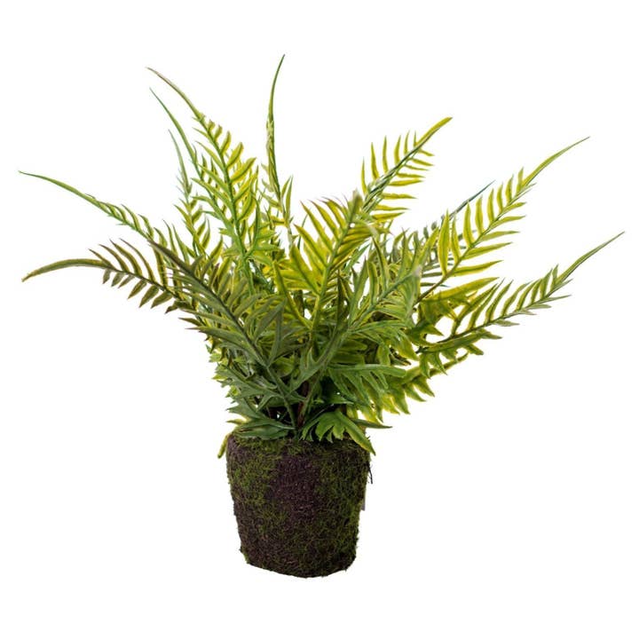 Drop In Fern Plant PP1036 for wholesale by Replica Plants and Decor