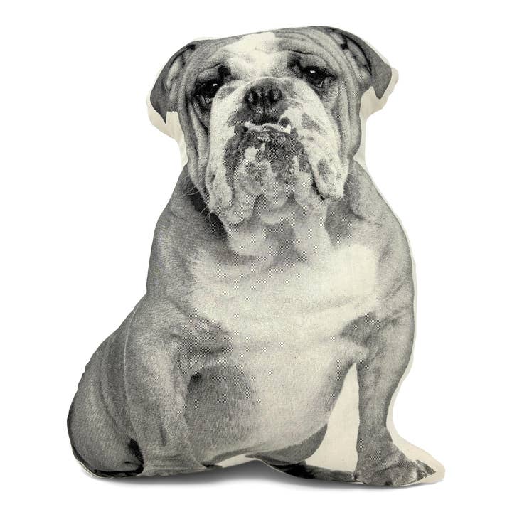 Broderpress - Wholesale Throw/Decorative Pillow - Bulldog Pillow