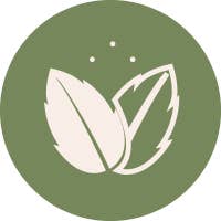 Lisal nature beauty for you - Wholesale Facial Oil - Rosehip Oil 100% Organic Serum 30ml3