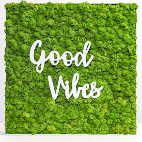 Mossroma - Wholesale Wall Accent - Stabilized frame: Reindeermoss with writing1