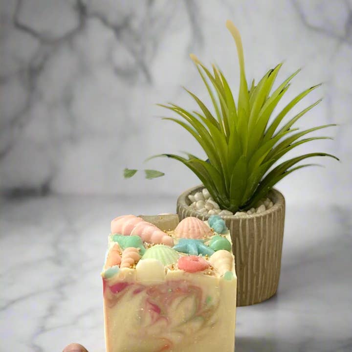 Seashell for wholesale by Saltwater Artisan Soaps