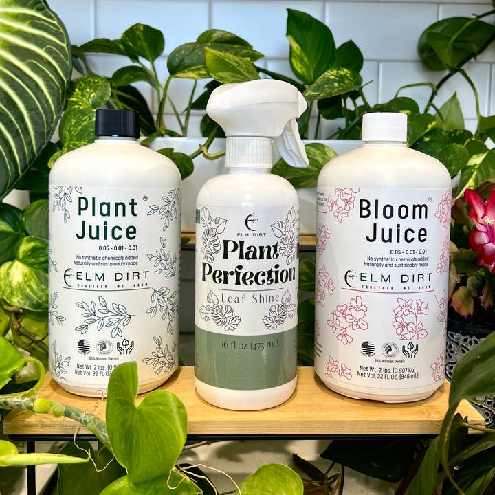 Mixed Liquids Case for wholesale by Elm Dirt