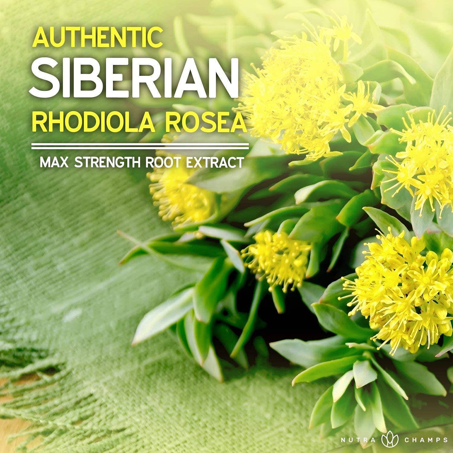 NutraChamps - Venta al por mayor Suplementos/vitaminas para beber - Rhodiola rosea para la energía, el alivio del estrés y el apoyo al estado de ánimo 6