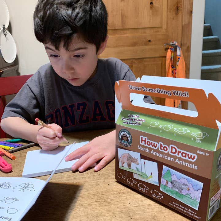 Jr. RangerLand – Großhandel Kunstset – Kind & Baby – Wie zeichnet man Bestäuber und Pflanzen Art Kit
