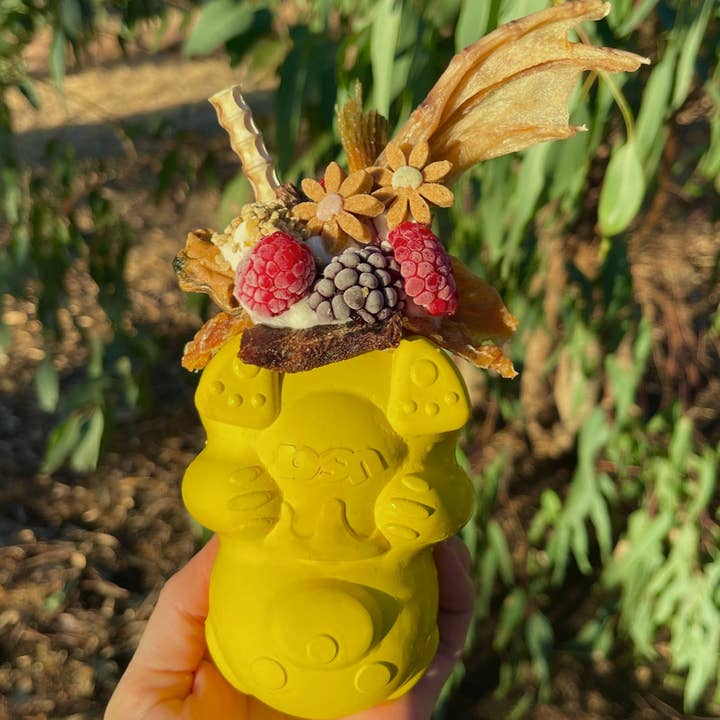 Rover Pet Products - Wholesale Pet chew toy – Dog - Honey Bear - Chew and Enrichment Toy5