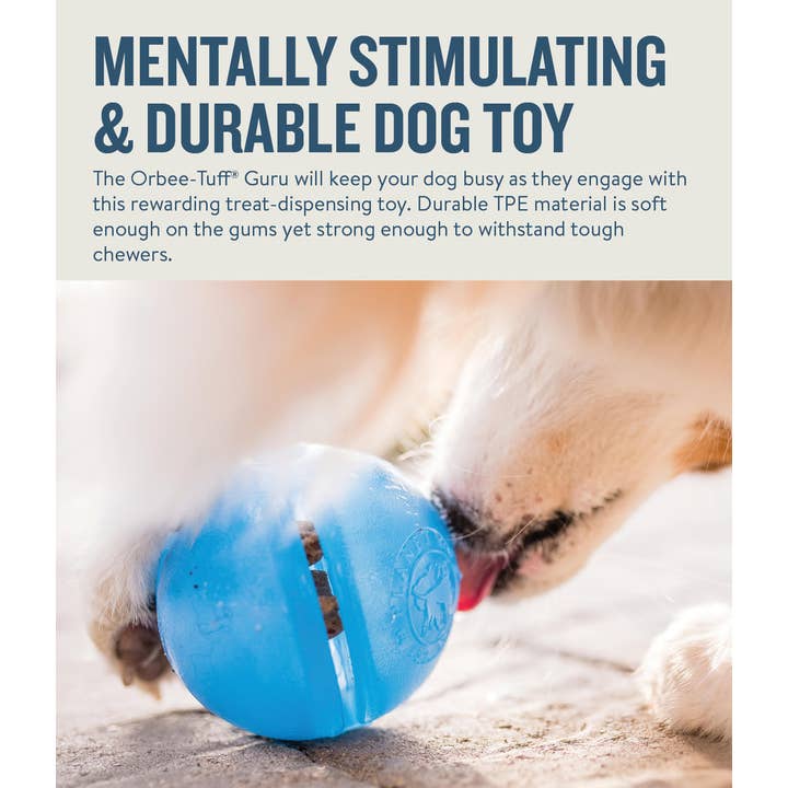 Pet Palette Distribution - Wholesale Pet Toy - Dog - Planet Dog Orbee-Tuff Guru Treat-Dispensing Puzzle Dog Toy