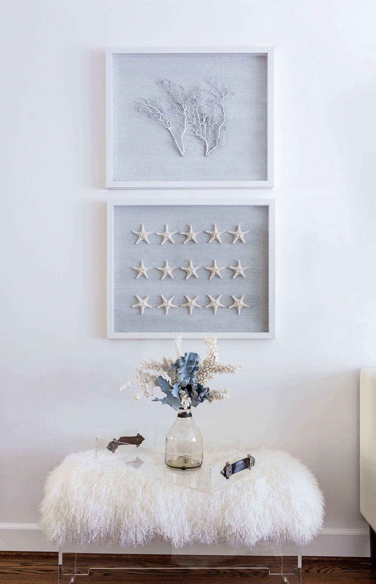 Jamie Dietrich Designs – wholesale Dimensionell/3D-väggkonst – Sealife Shadow Box - Vit/Vit4