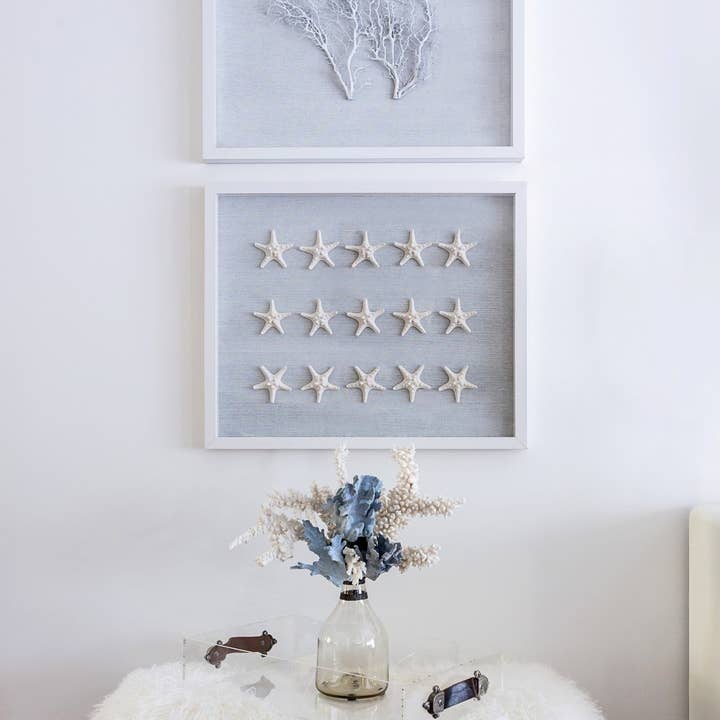 Jamie Dietrich Designs – wholesale Dimensionell/3D-väggkonst – Sealife Shadow Box - Vit/Vit4