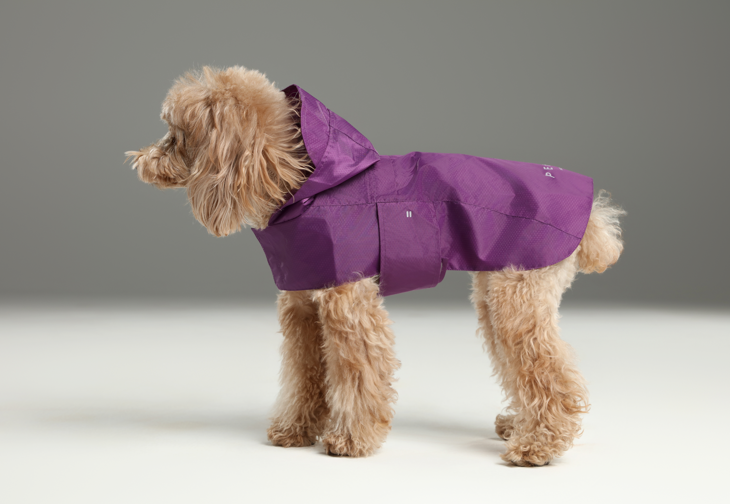 PEHOM - Venta al por mayor Chubasquero - Perros - Impermeable tipo cápsula - Morado3
