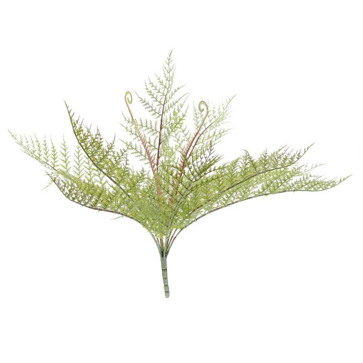 Concari.flores Preservadas - Wholesale Artificial Plant - FERN X 10 ARTIFICIAL GREEN