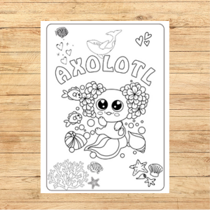 Trends by K & A – wholesale Colouring and activity book – kids and baby – Axolotl and Ocean Friends Coloring and Activity Book2