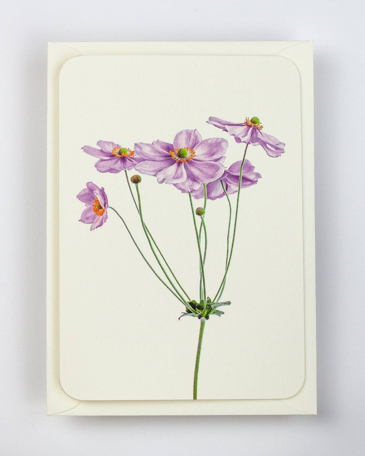 Canonbury Press - Wholesale Everyday Greeting Card - Anemone Greeting Card | Birthday Card | Luxury Cards1