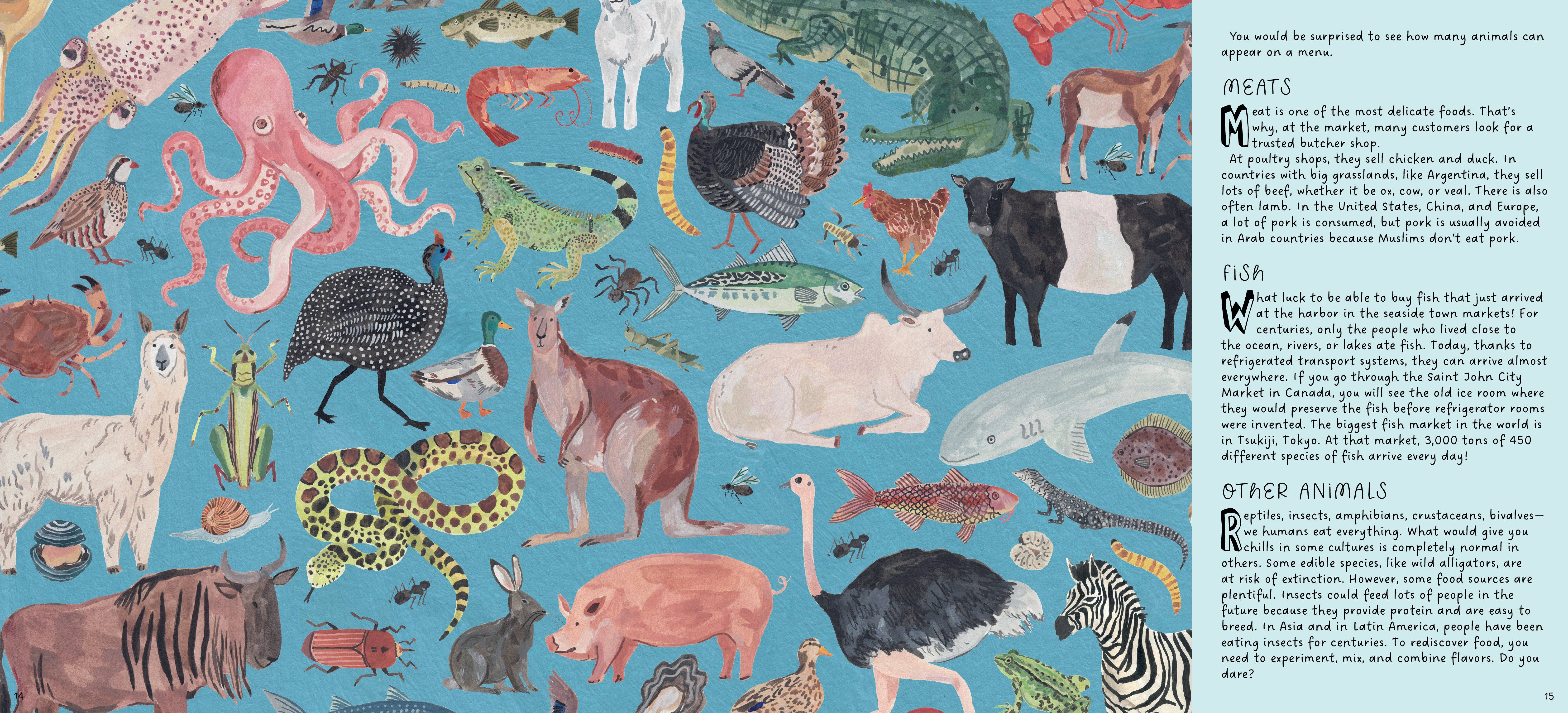 Bushel & Peck Books - Wholesale Preschool Book (3-5) - Markets: A World to Discover6