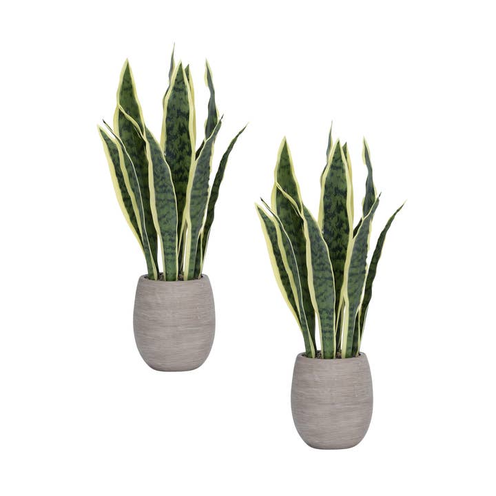 Lot de 2 plantes artificielles de 18" en pot en céramique blanche pour la vente par Vintage Home