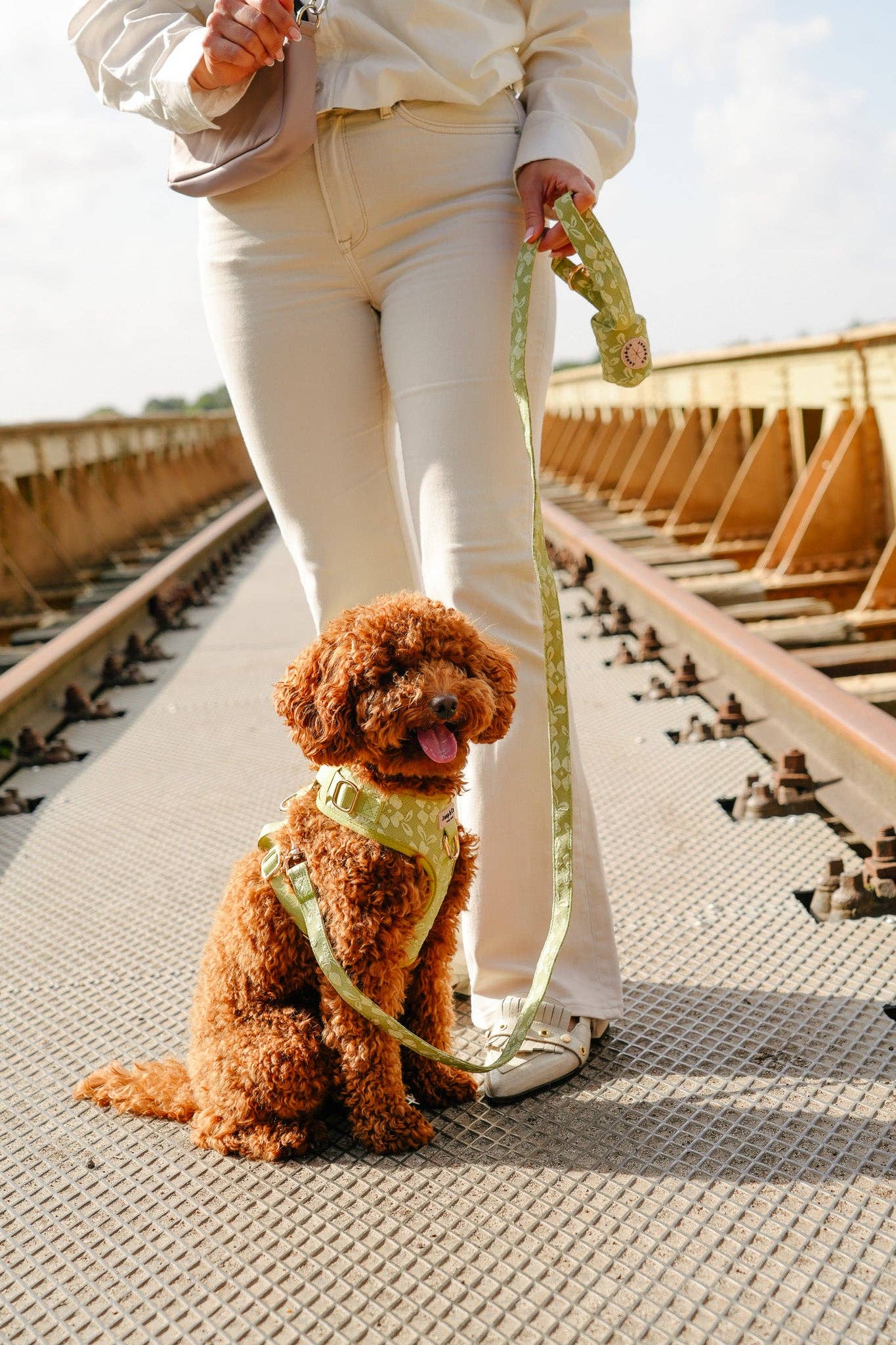 Jaap & Co - Woof Wear - Wholesale Pet Harness - Dog - Botanical Glow - Dog Harness3