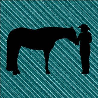 Adesivo in vinile Western Showmanship Horse per la vendita all'ingrosso da parte di Bow-Dacious Designs