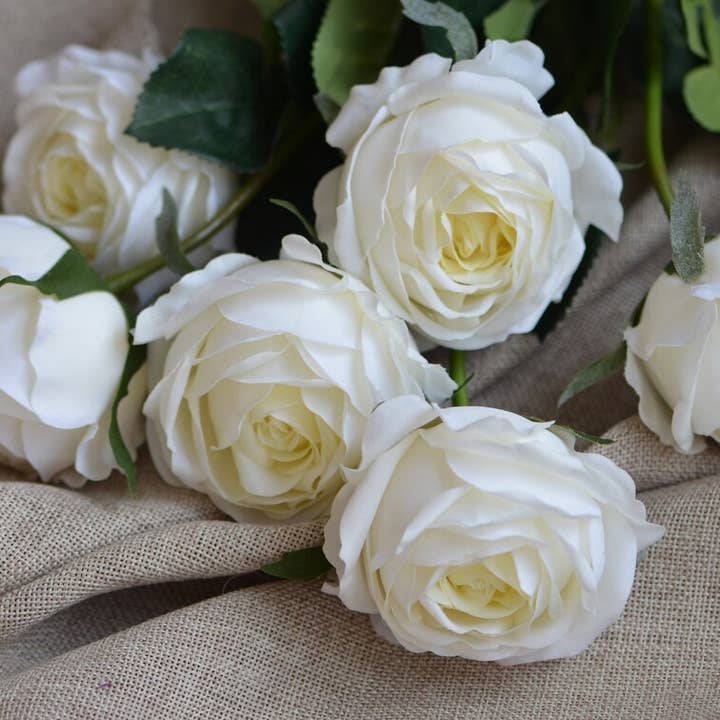 Angel Isabella - Wholesale Artificial flowers - 17"-Ultra Realist Real touch Cabbage Rose-Artificial 1