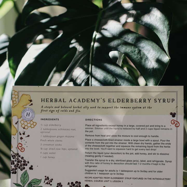 Herbal Academy - Wholesale Recipe Card - Herbal Recipe Cards - Set of 254