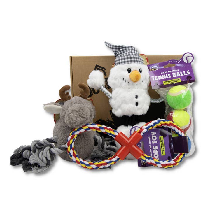 Christmas 4 Item Dog Toy only Gift Box for wholesale by DogBox Boutique
