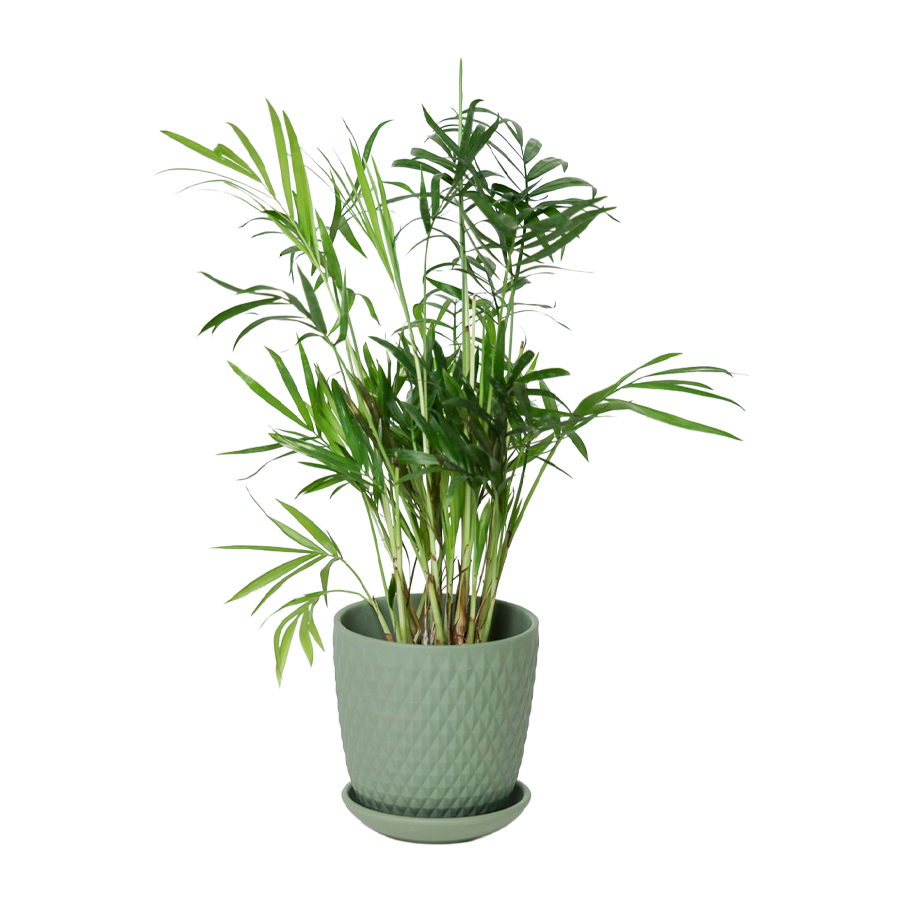 Chive - Wholesale Plant Pot - Handmade Ceramic Virago Pots | Artisan Plant Planters60