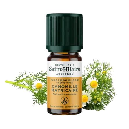 Ecohesens - Wholesale Essential Oil - Organic Matricaria Chamomile Essential Oil - 5 ml - Saint-Hilaire0
