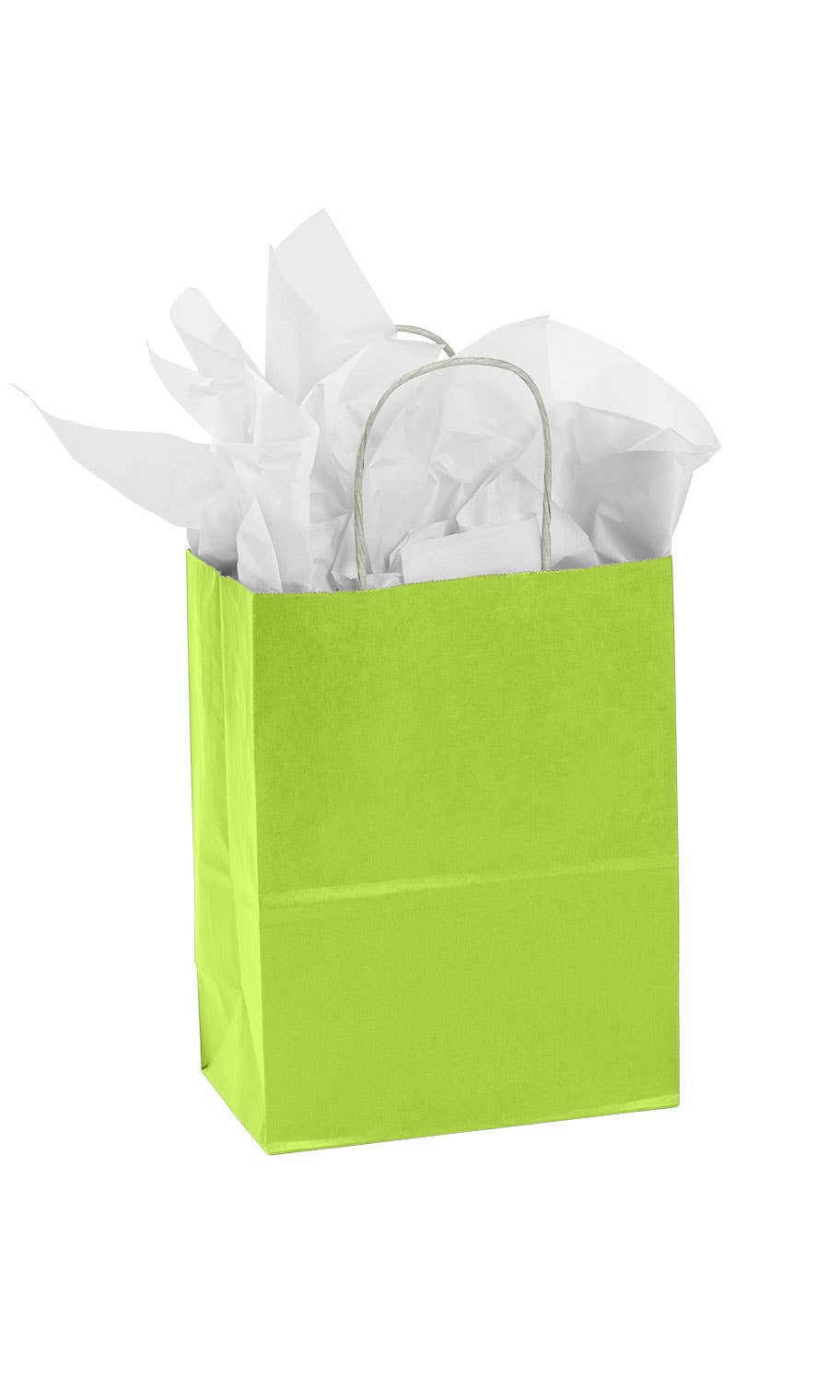 Store Supply Warehouse - Wholesale Gift Bag - Colorful Kraft Paper Shopping Bags12