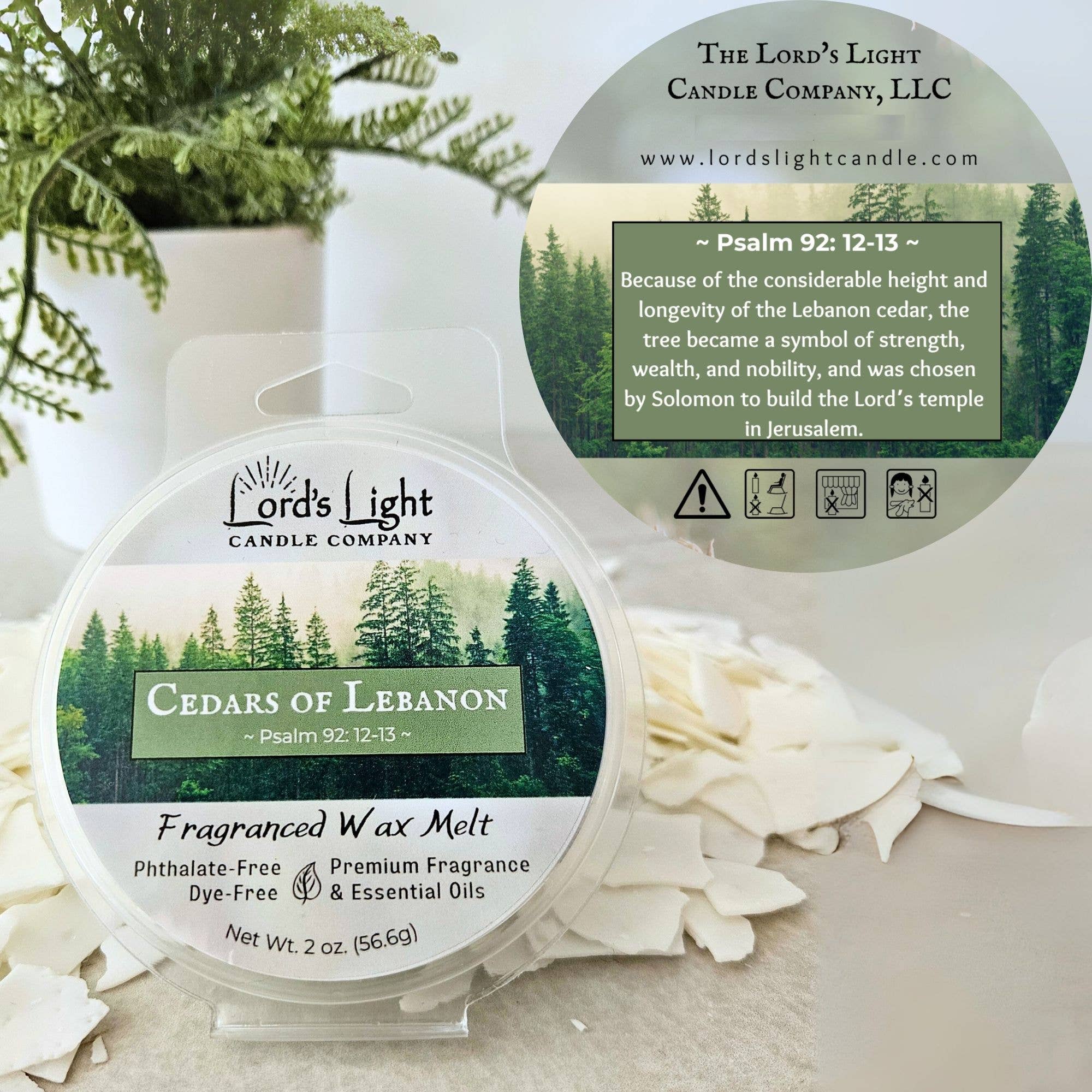 Lord's Light Candle - Wholesale Wax Melt - Highly Fragranced Faith-Based Wax Melt13